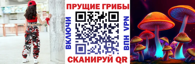Галлюциногенные грибы Psilocybine cubensis  Почеп 